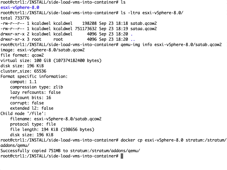 Side Load Workload Image Directory