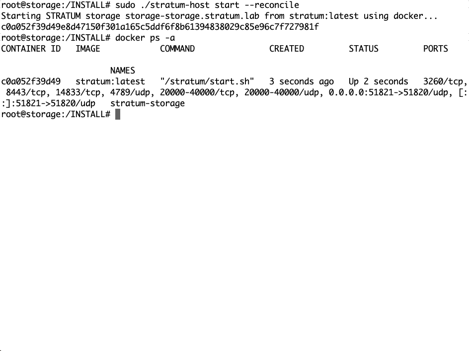 Start Storage Worker