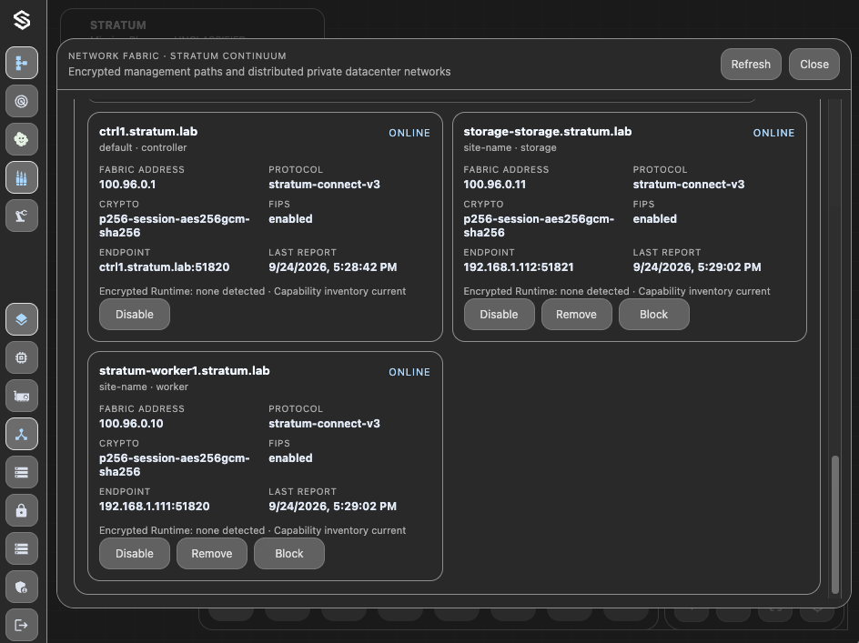Network Fabric node cards with compute and storage workers