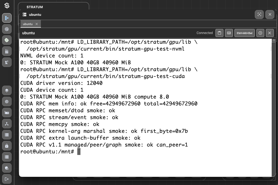 NVML Validation Output