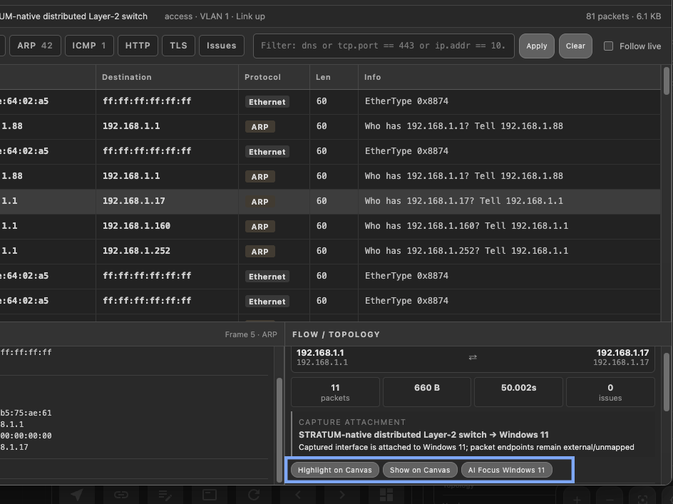 Packet Capture Visualize On Canvas