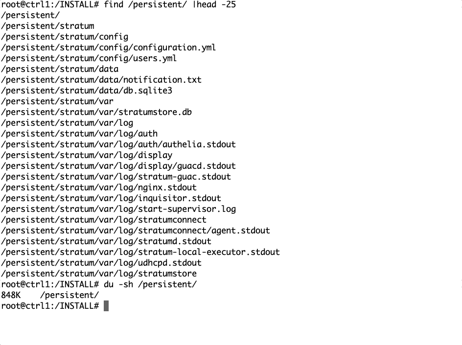 STRATUM Persistent Data Layout